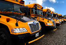 Yellow school buses parked