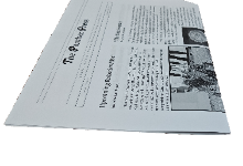 The Panther Press Volume 4 Issue 6